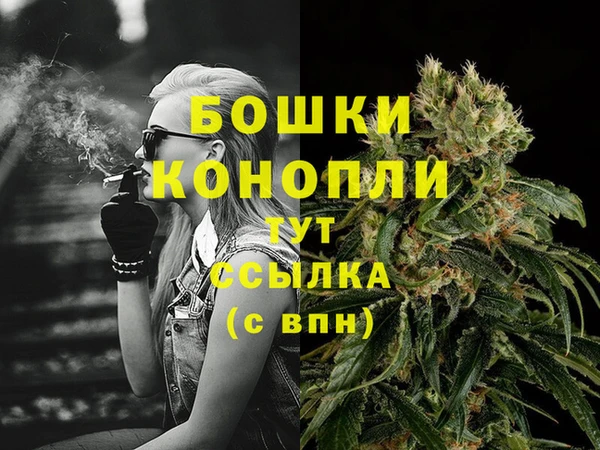 молекула духа Переславль-Залесский