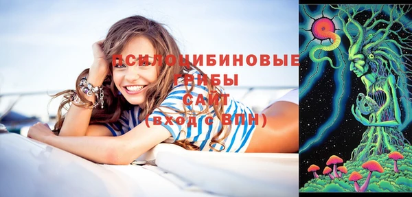 МДПВ Алзамай