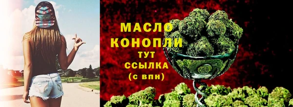 молекула духа Переславль-Залесский
